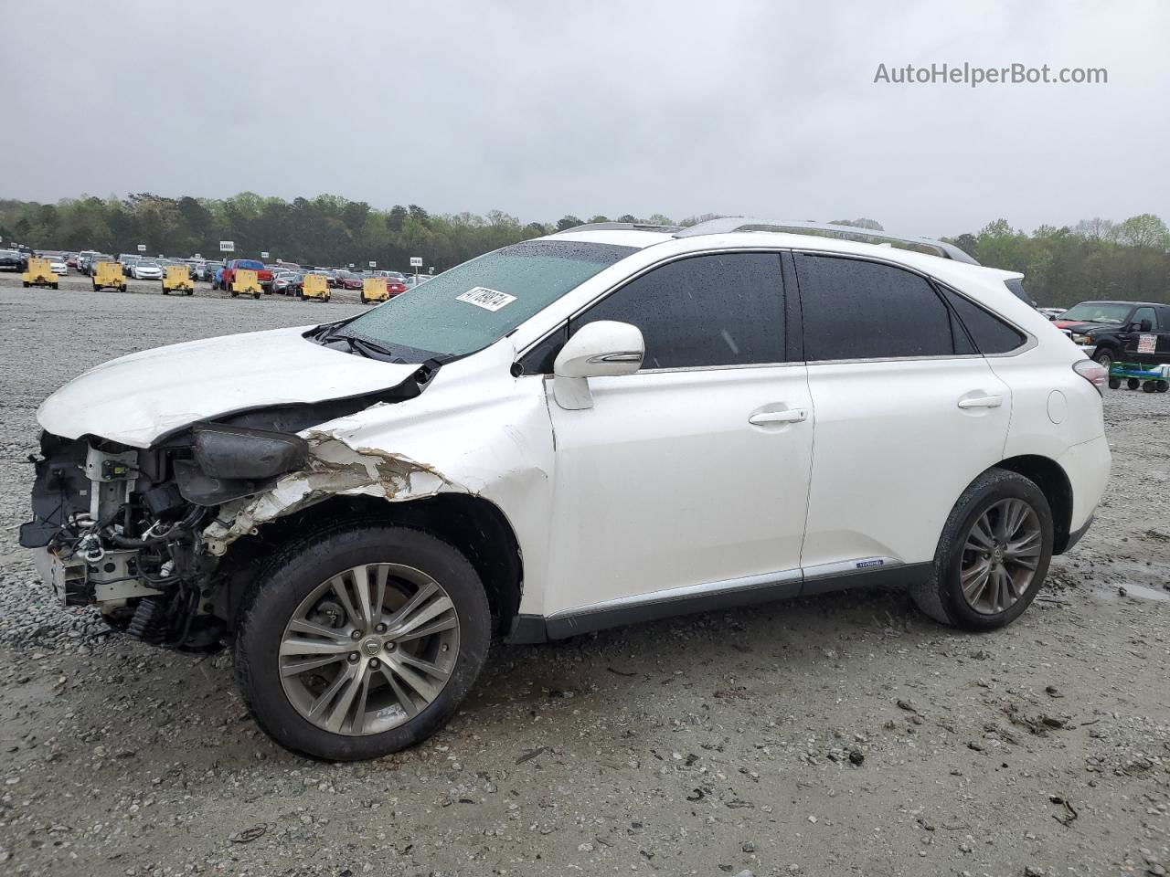 2015 Lexus Rx 450h White vin: 2T2BC1BA4FC003358