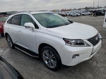 2013 Lexus Rx 350 Base White vin: 2T2BK1BA0DC169845