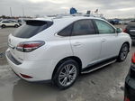 2013 Lexus Rx 350 Base White vin: 2T2BK1BA0DC169845