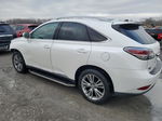 2013 Lexus Rx 350 Base White vin: 2T2BK1BA0DC169845