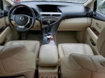 2015 Lexus Rx 350 Base Бежевый vin: 2T2BK1BA0FC319942