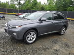 2013 Lexus Rx 350 Base Gray vin: 2T2BK1BA1DC190011