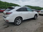 2013 Lexus Rx 350 Base White vin: 2T2BK1BA1DC194771