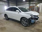 2015 Lexus Rx 350 Base White vin: 2T2BK1BA1FC309467