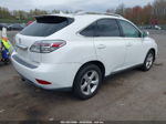 2010 Lexus Rx 350   White vin: 2T2BK1BA2AC008652