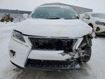 2013 Lexus Rx 350 Base White vin: 2T2BK1BA2DC212730