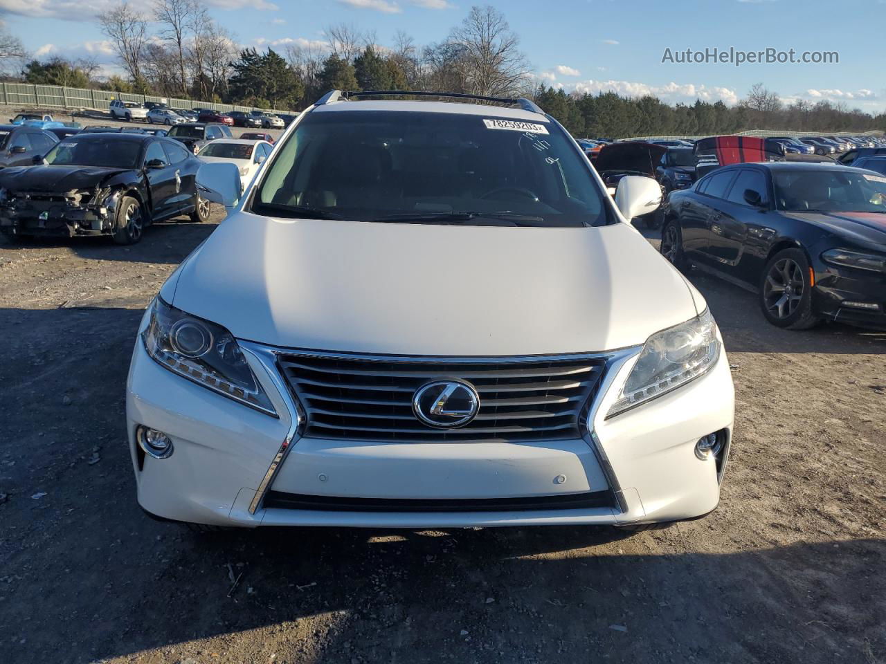 2015 Lexus Rx 350 Base Белый vin: 2T2BK1BA2FC321899