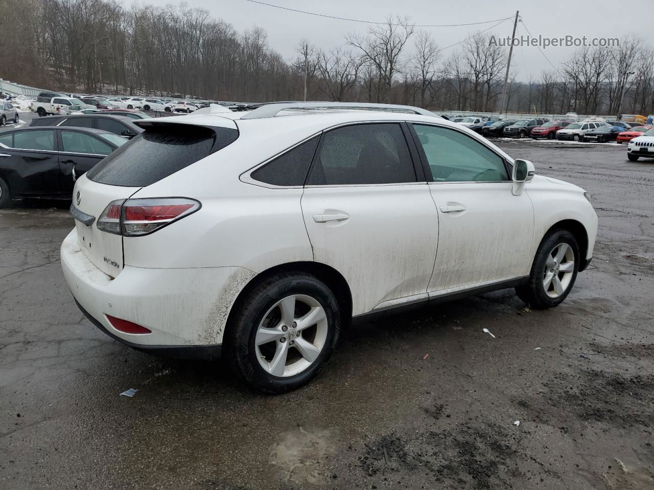 2015 Lexus Rx 350 Base Белый vin: 2T2BK1BA3FC307736