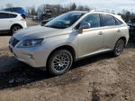 2013 Lexus Rx 350 Base Gold vin: 2T2BK1BA4DC196174