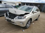 2015 Lexus Rx 350 Base Cream vin: 2T2BK1BA4FC292485