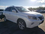 2015 Lexus Rx 350 Base White vin: 2T2BK1BA5FC264128