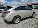 2015 Lexus Rx 350 Base Бежевый vin: 2T2BK1BA5FC338924