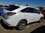 2013 Lexus Rx 350 Base White vin: 2T2BK1BA6DC173804