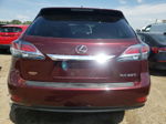 2013 Lexus Rx 350 Base Maroon vin: 2T2BK1BA6DC181501