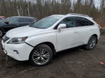 2013 Lexus Rx 350 Base White vin: 2T2BK1BA6DC212682