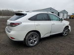 2013 Lexus Rx 350 Base White vin: 2T2BK1BA6DC212682