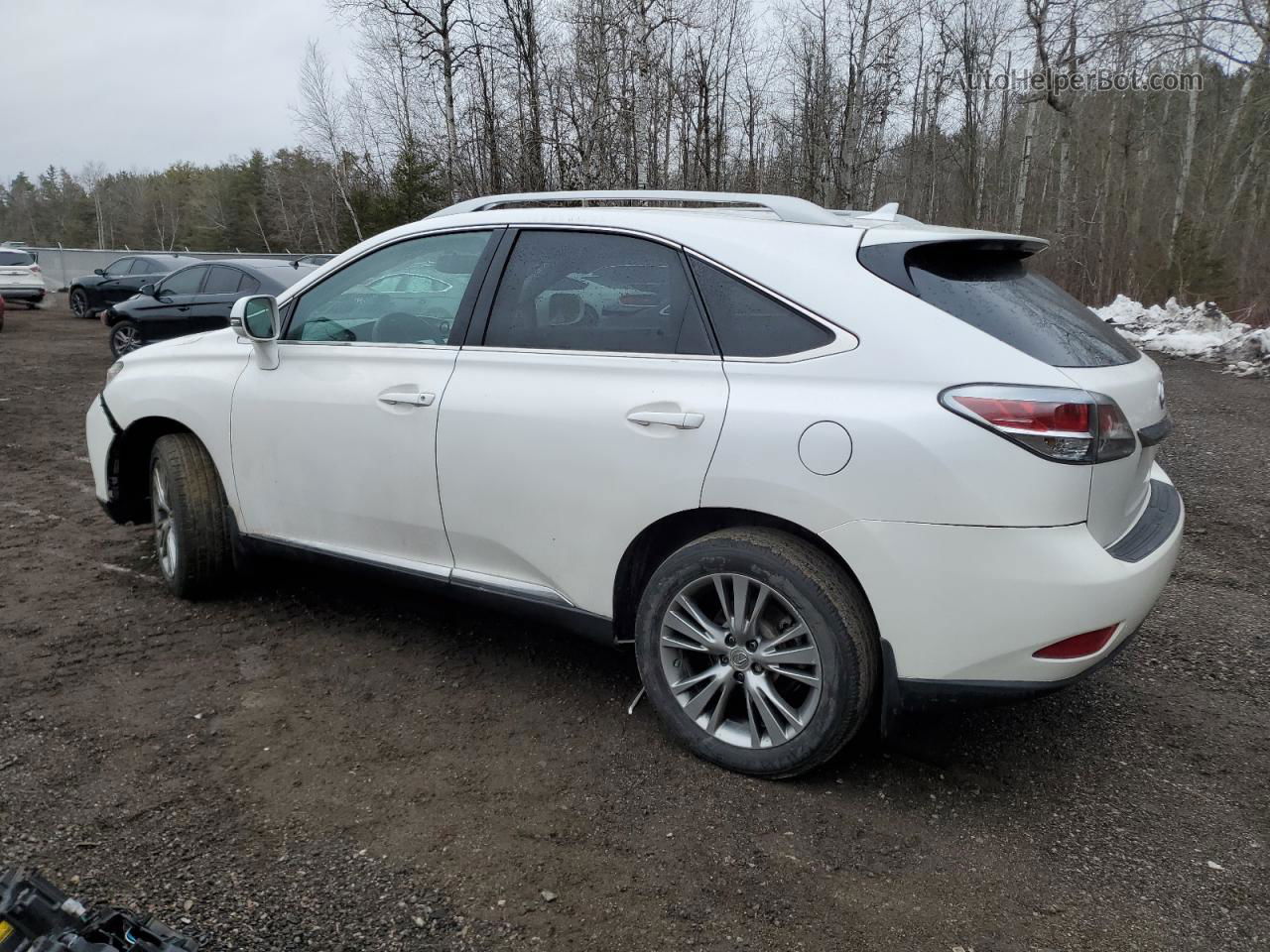 2013 Lexus Rx 350 Base White vin: 2T2BK1BA6DC212682