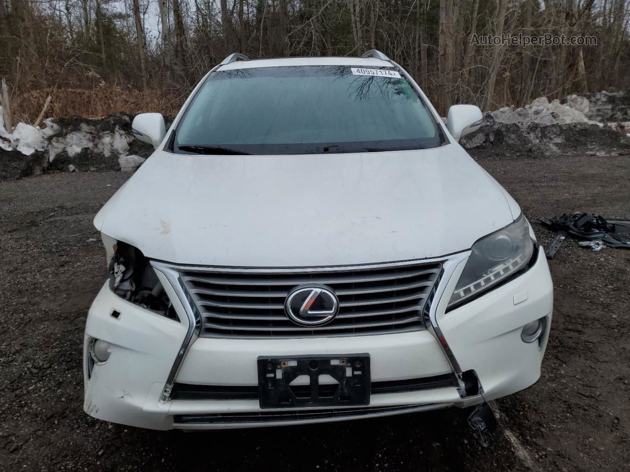 2013 Lexus Rx 350 Base White vin: 2T2BK1BA6DC212682