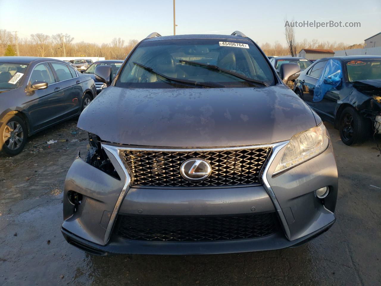 2013 Lexus Rx 350 Base Gray vin: 2T2BK1BA7DC184021