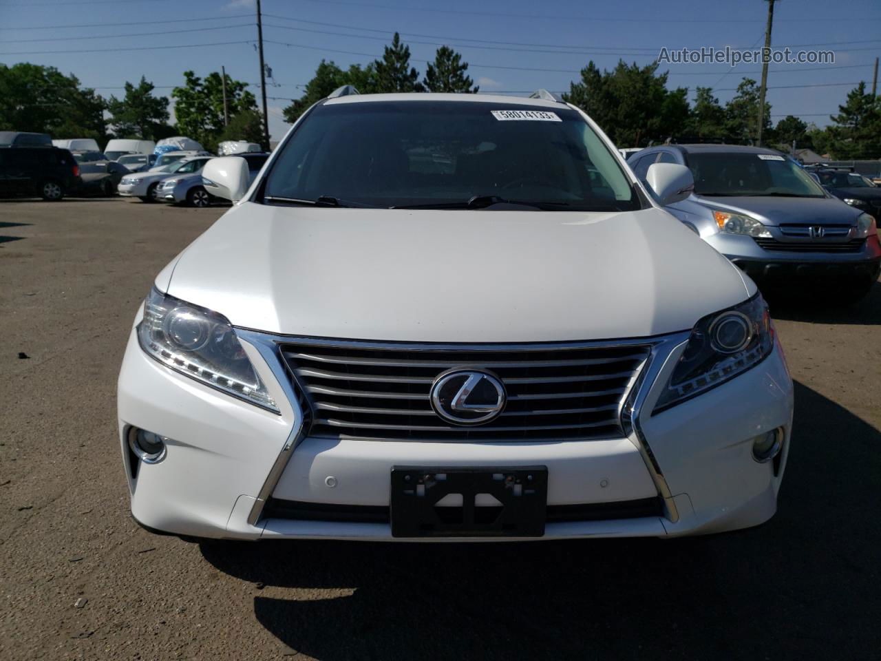 2013 Lexus Rx 350 Base White vin: 2T2BK1BA8DC184903