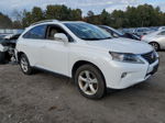 2013 Lexus Rx 350 Base White vin: 2T2BK1BA8DC203790