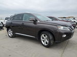 2013 Lexus Rx 350 Base Brown vin: 2T2BK1BA9DC155149