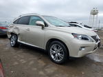 2013 Lexus Rx 350 Base Золотой vin: 2T2BK1BA9DC200753