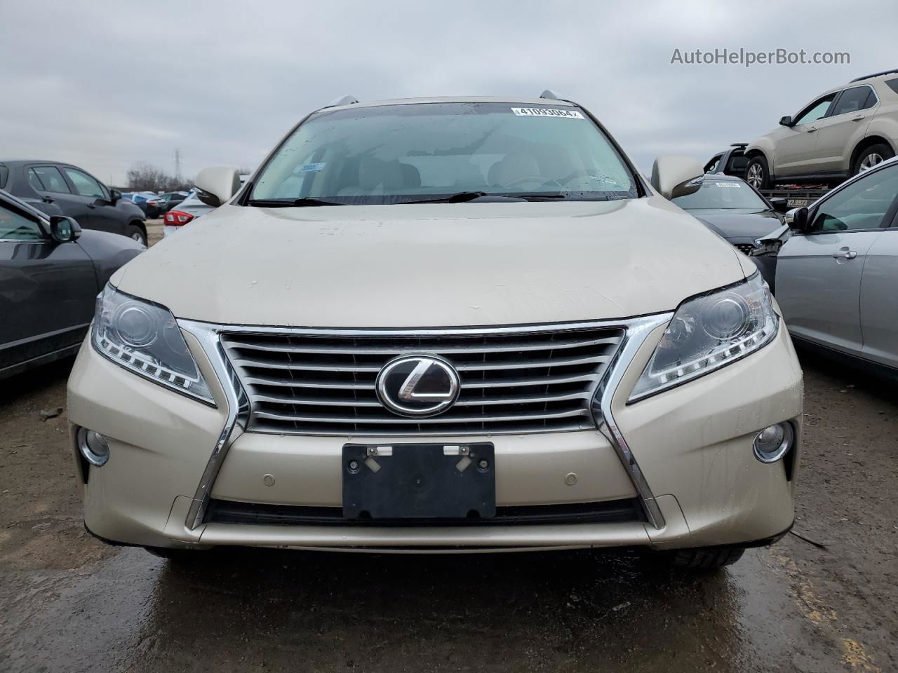 2013 Lexus Rx 350 Base Gold vin: 2T2BK1BA9DC200753