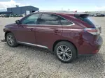 2013 Lexus Rx 350 Base Burgundy vin: 2T2BK1BAXDC194901