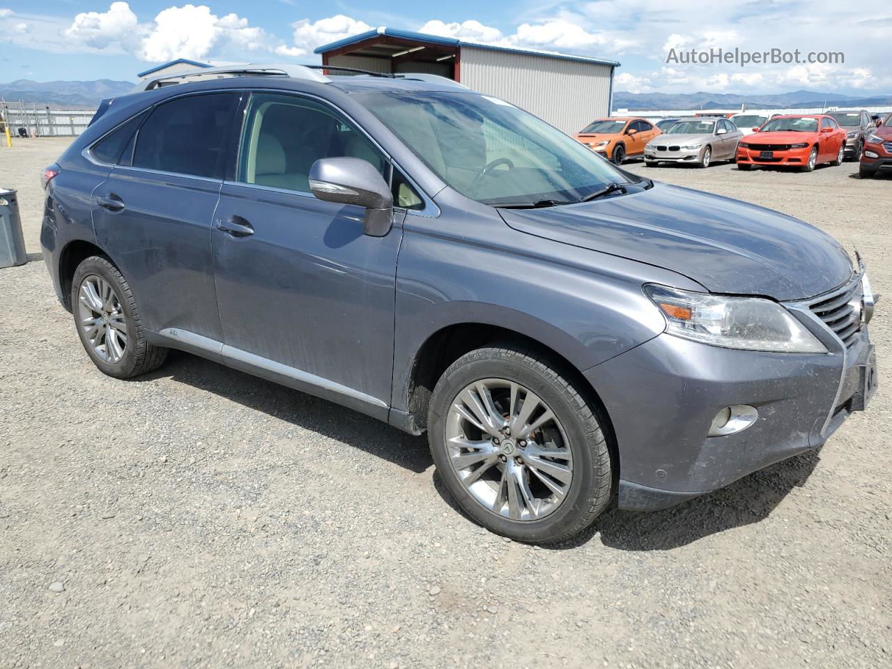 2013 Lexus Rx 350 Base Gray vin: 2T2BK1BAXDC201927