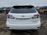 2013 Lexus Rx 350 Base White vin: 2T2BK1BAXDC217285