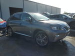 2015 Lexus Rx 350 Base Gray vin: 2T2BK1BAXFC277747