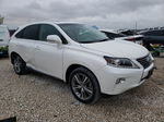 2015 Lexus Rx 450h Белый vin: 2T2ZB1BA7FC004442