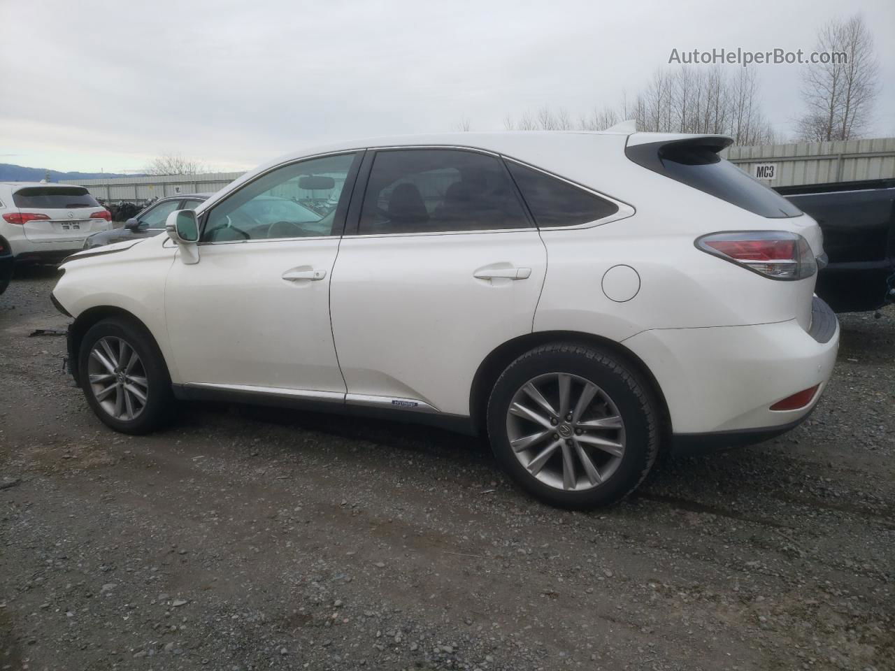 2015 Lexus Rx 450h White vin: 2T2ZB1BA9FC004099