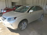 2015 Lexus Rx 350 Beige vin: 2T2ZK1BA0FC186016