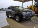 2013 Lexus Rx 350 Black vin: 2T2ZK1BA1DC114741