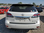 2013 Lexus Rx 350 White vin: 2T2ZK1BA1DC117171