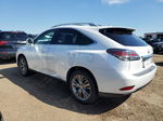 2013 Lexus Rx 350 White vin: 2T2ZK1BA2DC092667