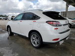 2013 Lexus Rx 350 White vin: 2T2ZK1BA2DC118104