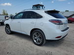 2013 Lexus Rx 350 White vin: 2T2ZK1BA3DC121299