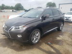 2013 Lexus Rx 350 Brown vin: 2T2ZK1BA4DC089852