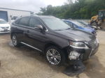 2013 Lexus Rx 350 Brown vin: 2T2ZK1BA4DC089852