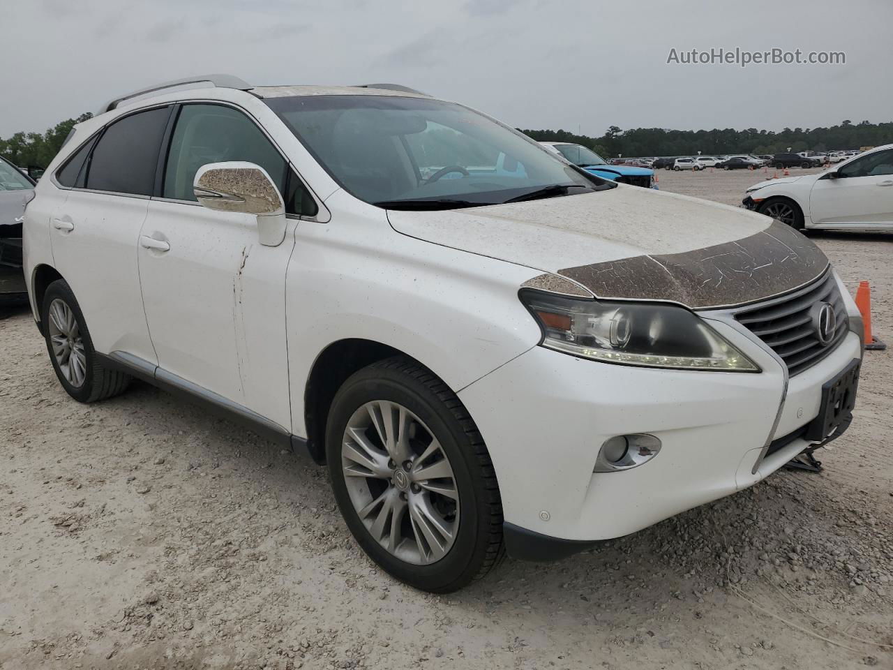 2013 Lexus Rx 350 White vin: 2T2ZK1BA4DC115477