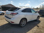 2013 Lexus Rx 350 White vin: 2T2ZK1BA5DC110398