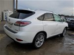 2013 Lexus Rx 350 White vin: 2T2ZK1BA6DC122933