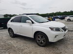 2013 Lexus Rx 350 White vin: 2T2ZK1BA6DC129090