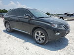 2013 Lexus Rx 350 Black vin: 2T2ZK1BA7DC116641