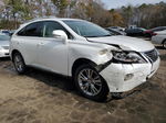 2013 Lexus Rx 350 White vin: 2T2ZK1BA8DC116566