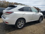 2013 Lexus Rx 350 White vin: 2T2ZK1BA8DC116566