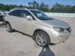 2013 Lexus Rx 350 White vin: 2T2ZK1BA8DC125610